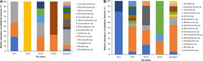 Prospecting Endophytic Bacteria Endowed With Plant Growth Promoting Potential Isolated From <mark class="highlighted">Camellia sinensis</mark>